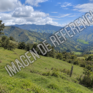 Imagen de referencia de predio rural en Arboleda — código 80901