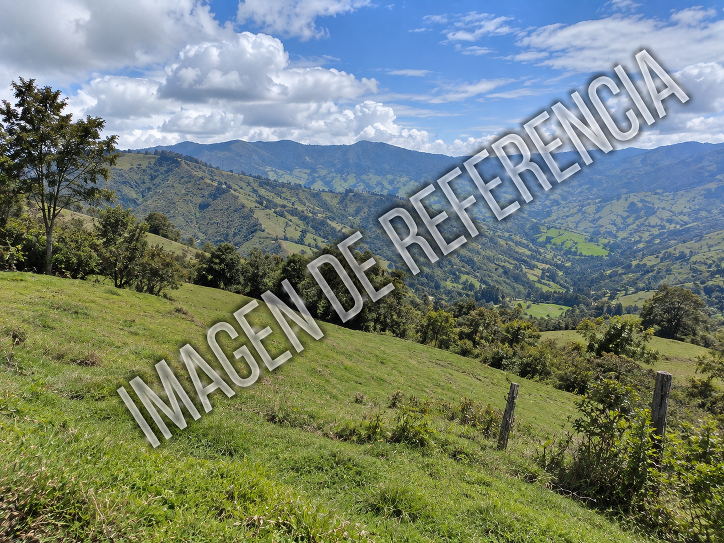 Imagen de referencia de predio rural en Arboleda — código 80901