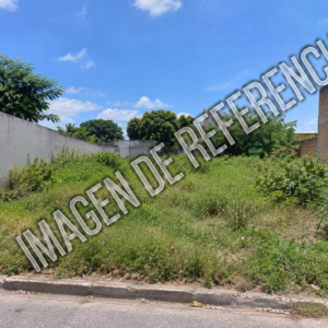 Imagen de referencia de lote sin construcciones en Sincelejo — código 80894