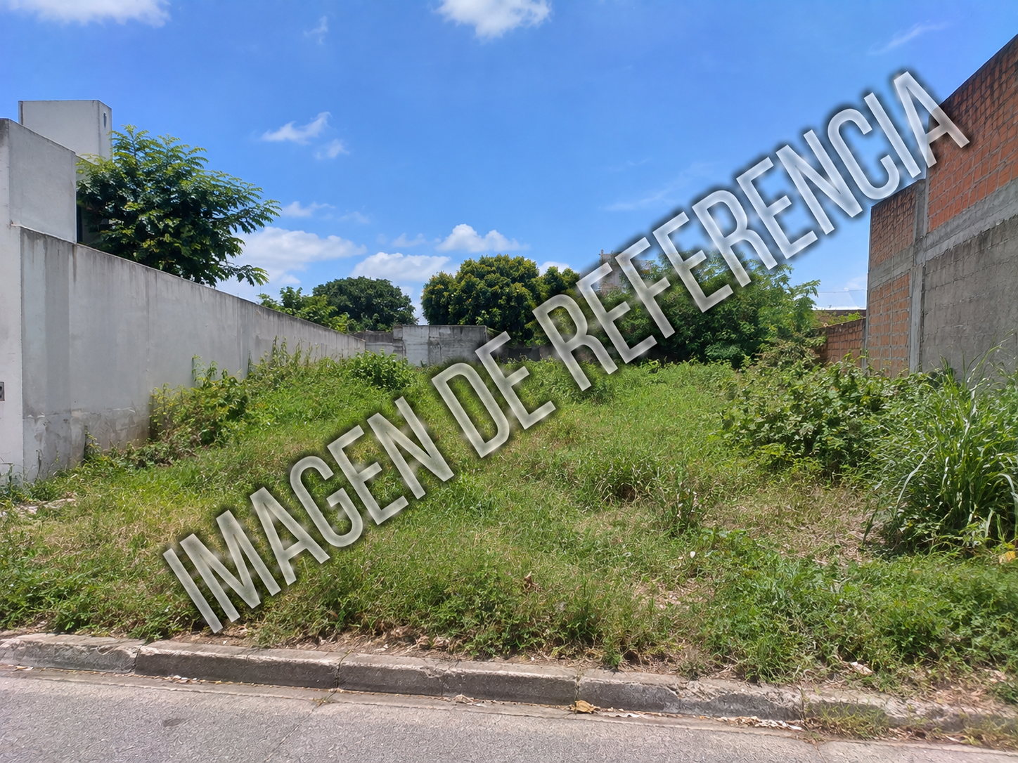 Imagen de referencia de lote sin construcciones en Sincelejo — código 80894
