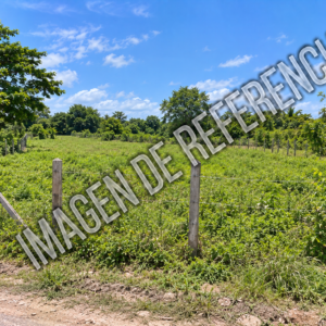 Imagen de referencia del predio rural La Viera — código 80891