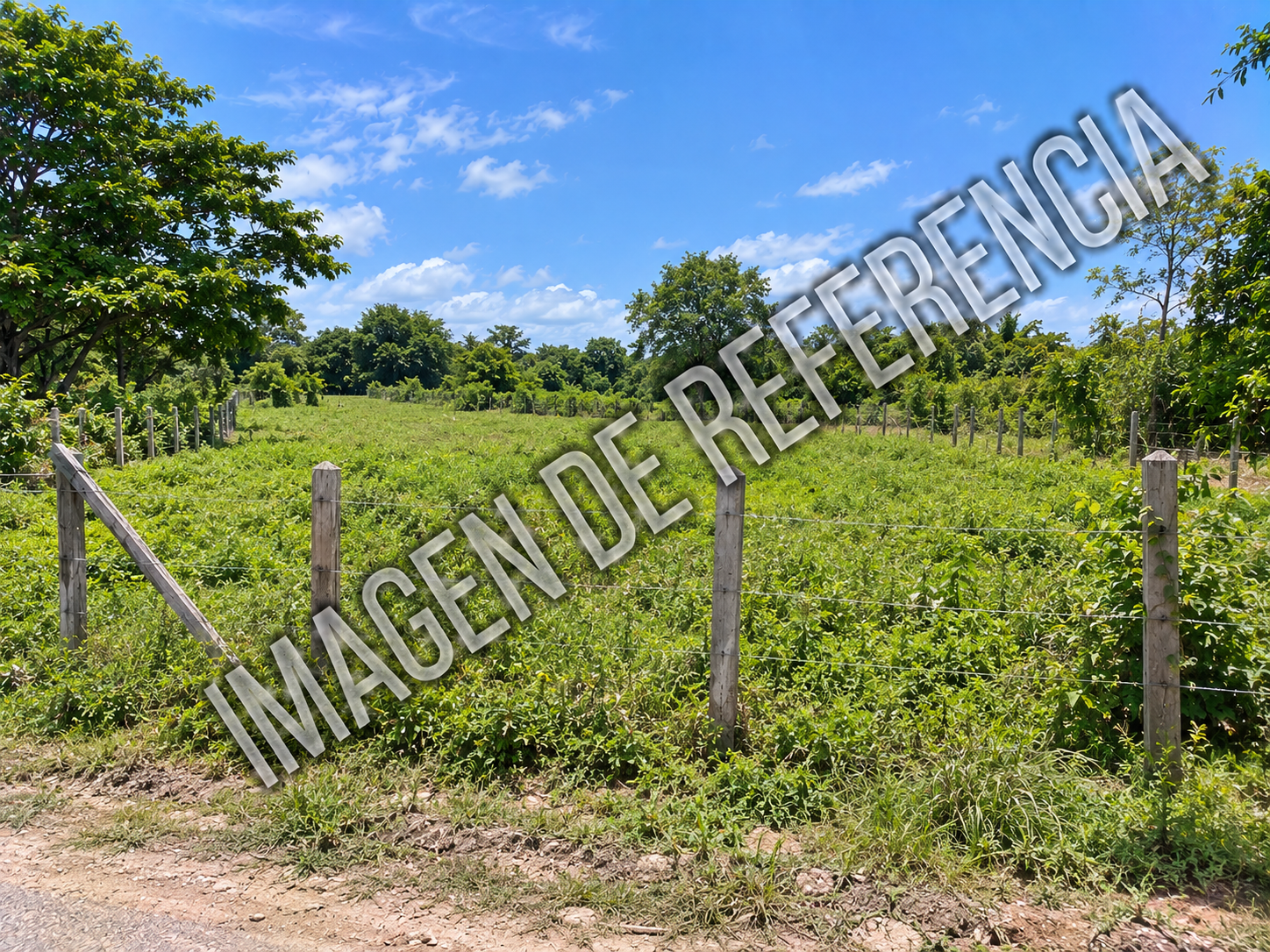 Imagen de referencia del predio rural La Viera — código 80891