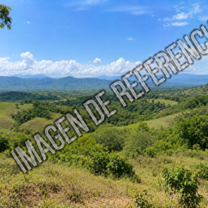 Imagen de referencia del predio rural La Manguita — código 80884