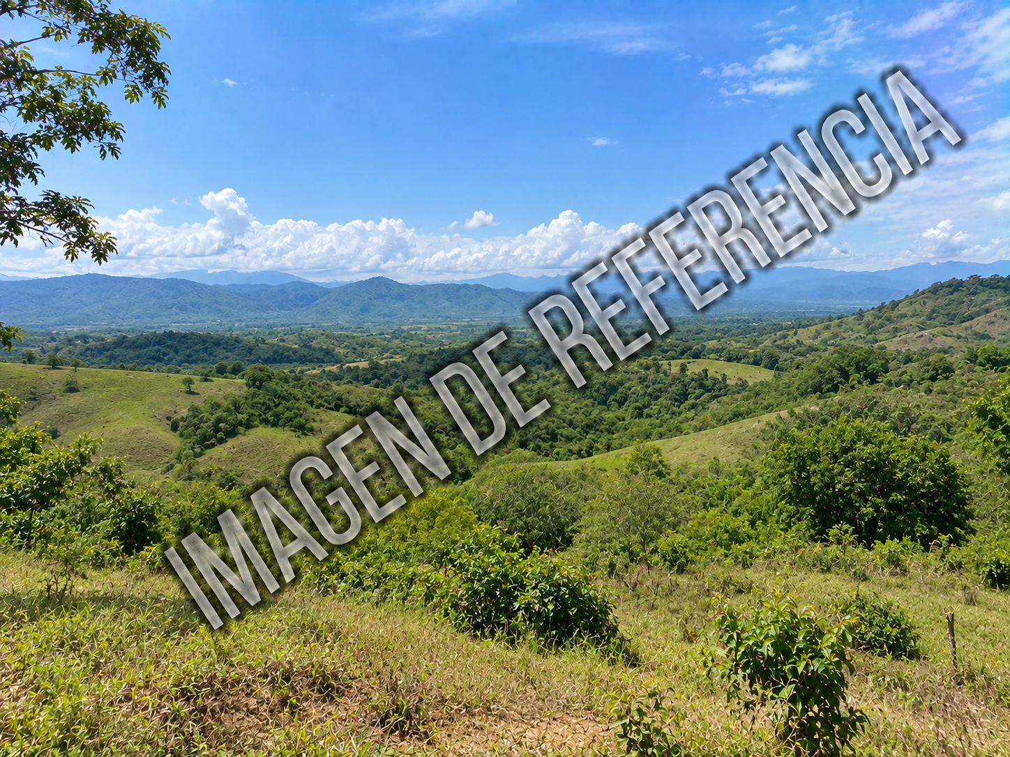 Imagen de referencia del predio rural La Manguita — código 80884