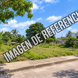 Imagen de referencia de lote urbano en Primavera, Inírida. Código80863.