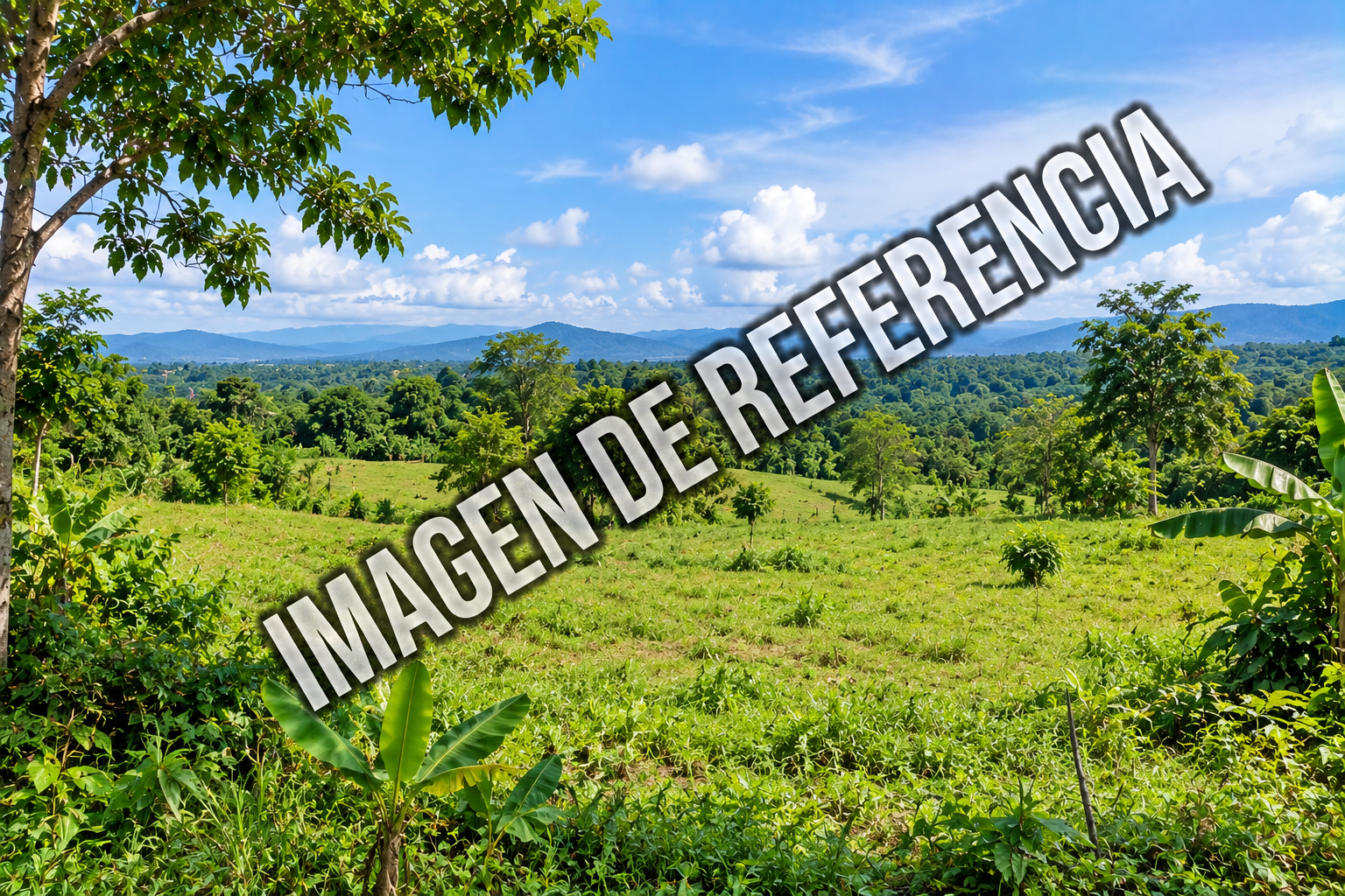 Imagen de referencia de predio rural en El Rosal, Valle del Guamuez. Código80862.