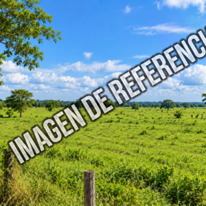 Imagen de referencia de predio rural llanero en Villanueva, Casanare. Código80861.