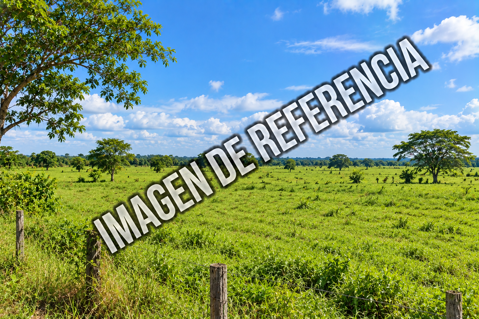 Imagen de referencia de predio rural llanero en Villanueva, Casanare. Código80861.
