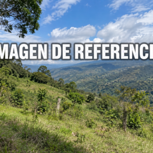 Imagen de referencia de Corral de Peña, Bolívar, Cauca, código 80836
