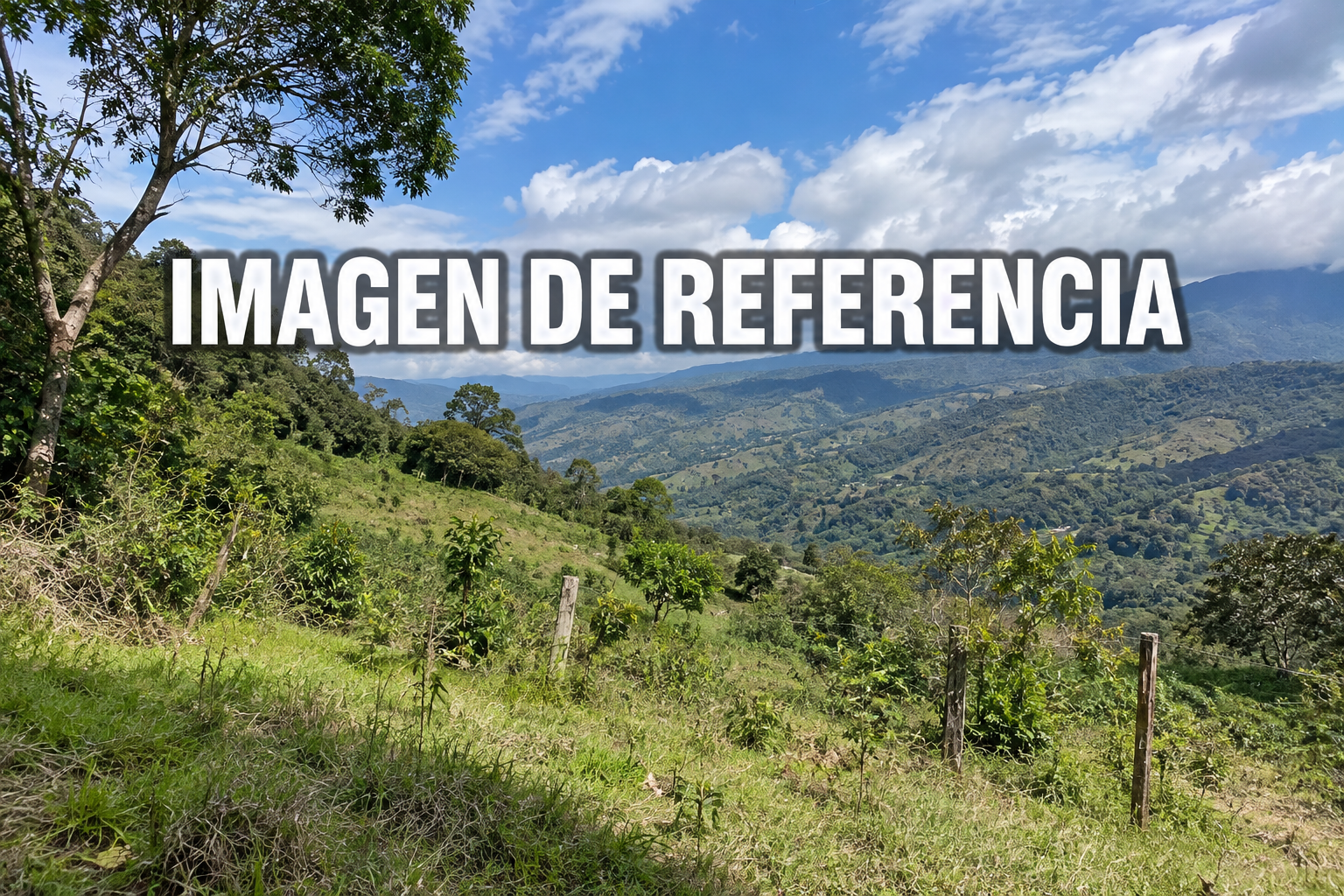 Imagen de referencia de Corral de Peña, Bolívar, Cauca, código 80836