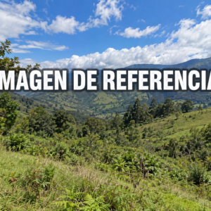 Imagen de referencia de lote rural en Paniquitá, Totoró, código 80835