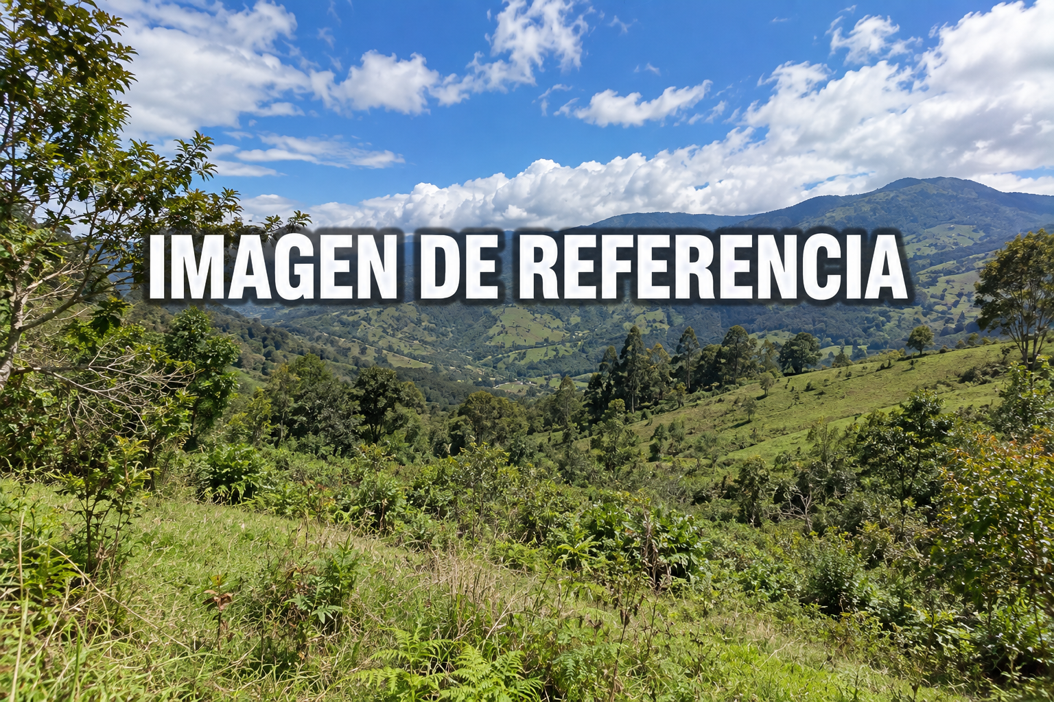 Imagen de referencia de lote rural en Paniquitá, Totoró, código 80835