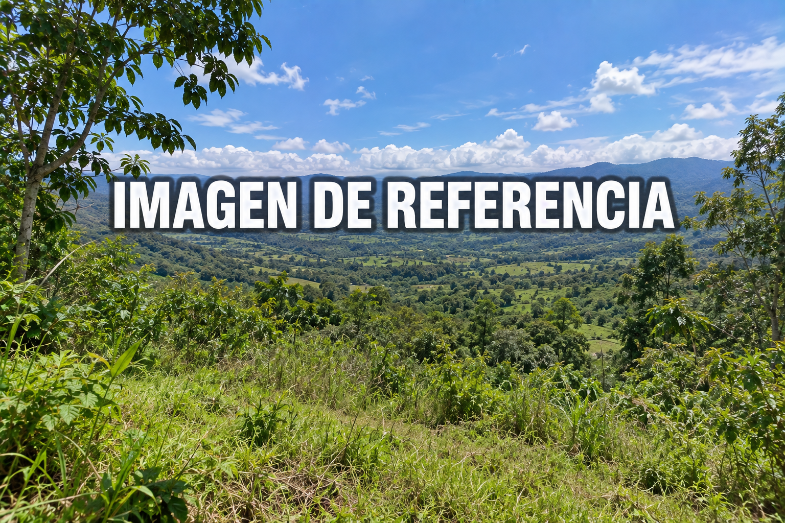 Imagen de referencia del predio El Retiro, El Doncello, código 80834
