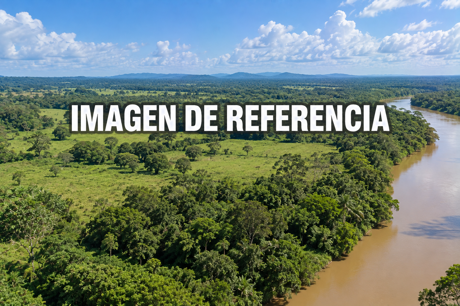 Imagen de referencia de la finca Ángela María en Caucasia, código 80826