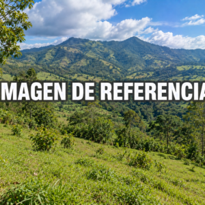 Imagen de referencia del lote rural en Pipinta, Jardín — código 80822