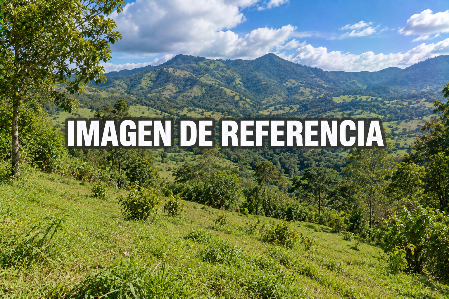Imagen de referencia del lote rural en Pipinta, Jardín — código 80822