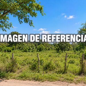 Imagen de referencia del lote rural en Chimichagua, Cesar — 80820