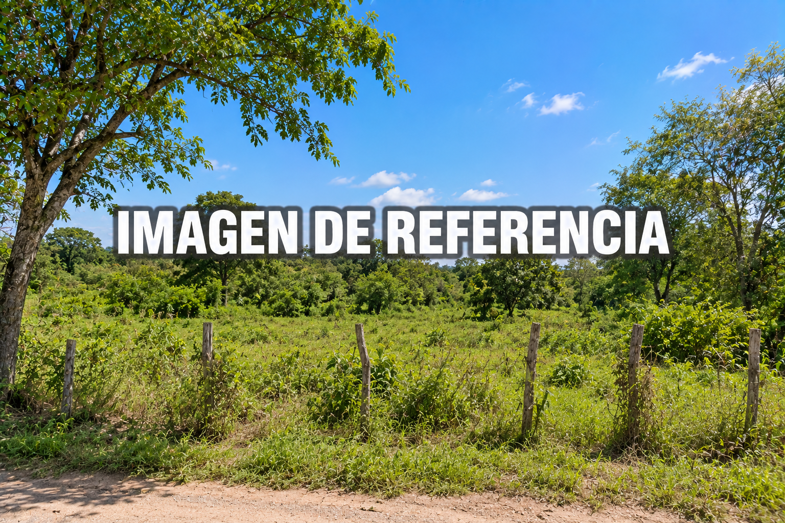 Imagen de referencia del lote rural en Chimichagua, Cesar — 80820
