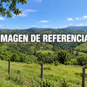 Imagen de referencia de predios rurales en Rionegro, Santander — cuotas del 50% y 25%, código 80812