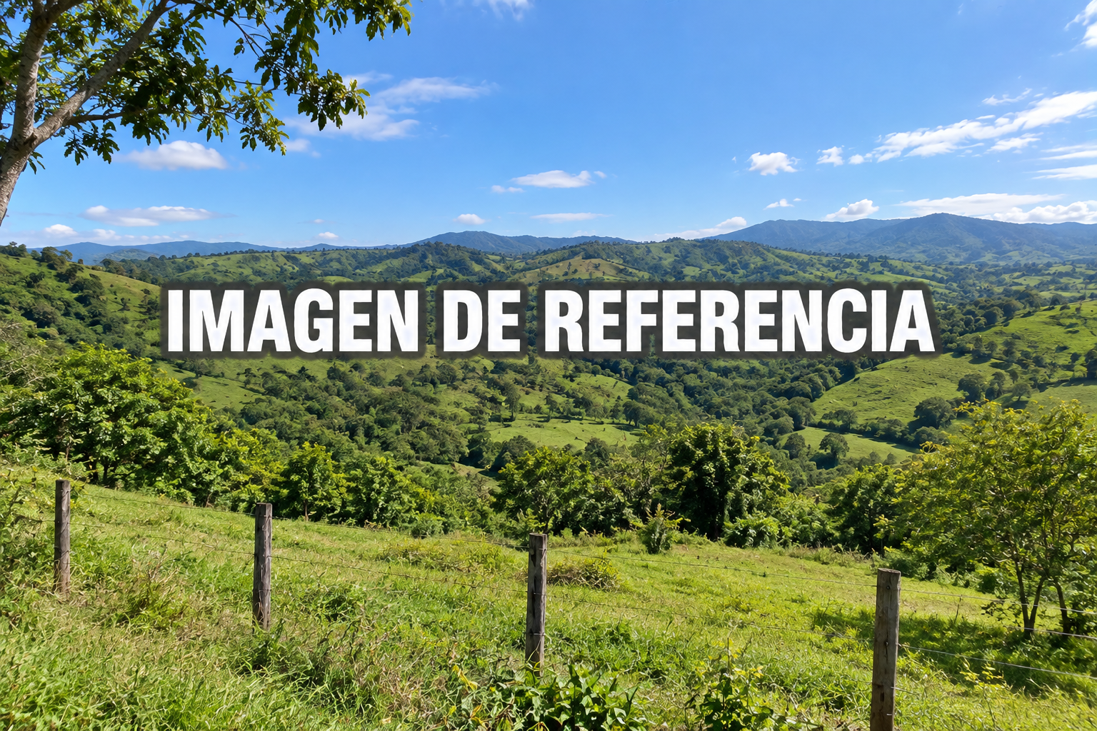 Imagen de referencia de predios rurales en Rionegro, Santander — cuotas del 50% y 25%, código 80812