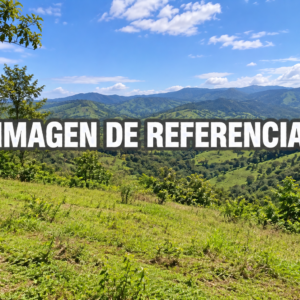 Imagen de referencia del lote rural La Tota, Piedecuesta; remate del 50% — 80809