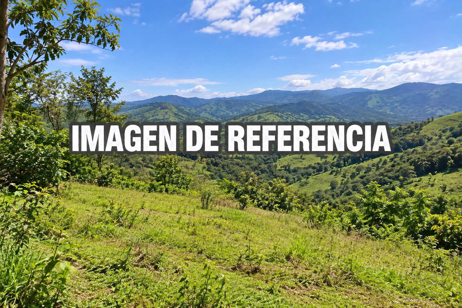 Imagen de referencia del lote rural La Tota, Piedecuesta; remate del 50% — 80809