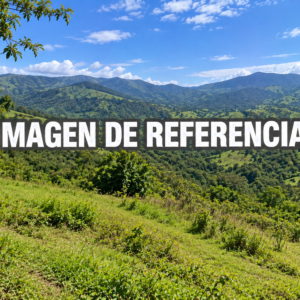 Imagen de referencia del lote 32 Granjas del Manzanares, Piedecuesta — 80808