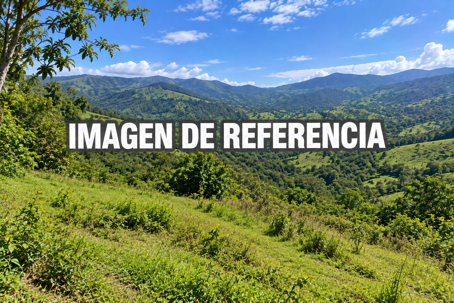Imagen de referencia del lote 32 Granjas del Manzanares, Piedecuesta — 80808