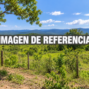 Imagen de referencia del lote rural finca Polo Norte — remate 80801