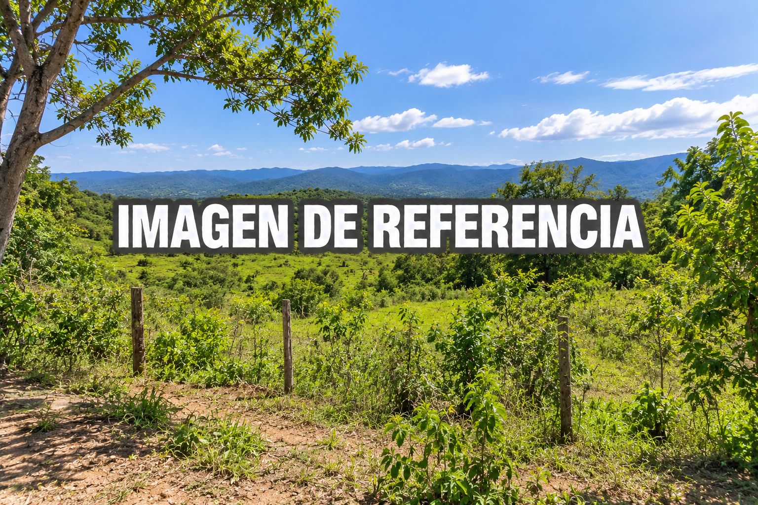 Imagen de referencia del lote rural finca Polo Norte — remate 80801