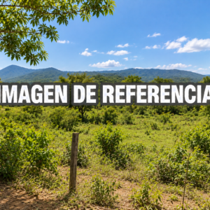 Imagen de referencia del lote La Reforma Buena Esperanza — remate 80795