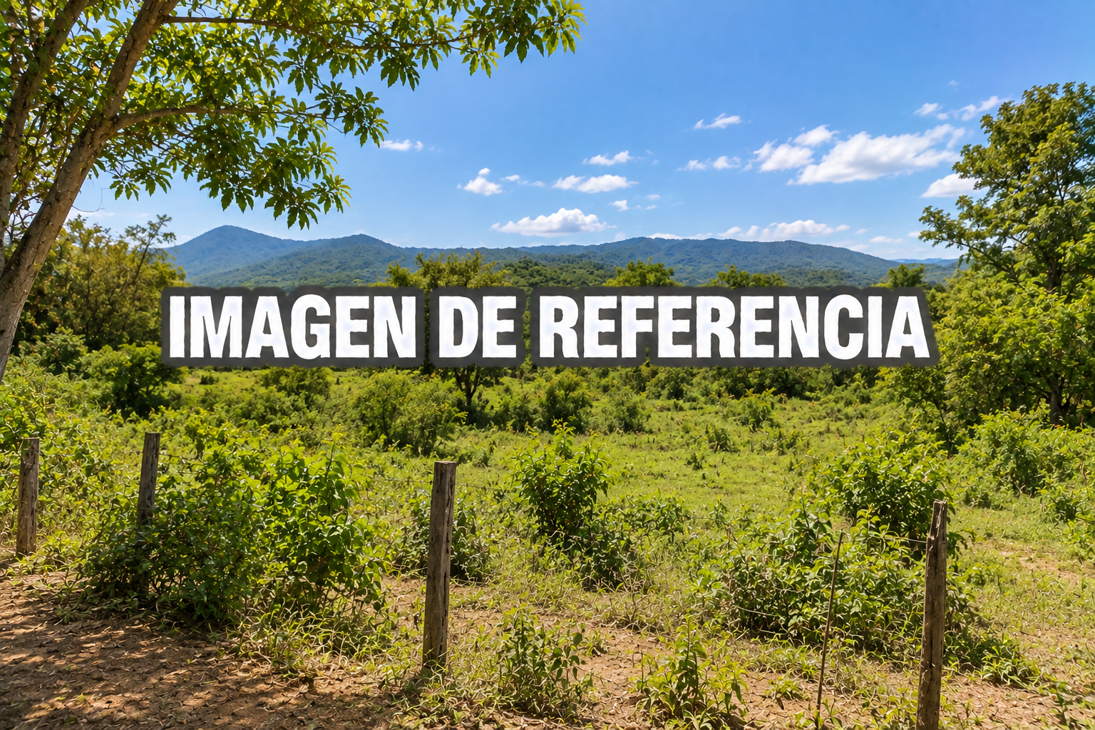 Imagen de referencia del lote La Reforma Buena Esperanza — remate 80795