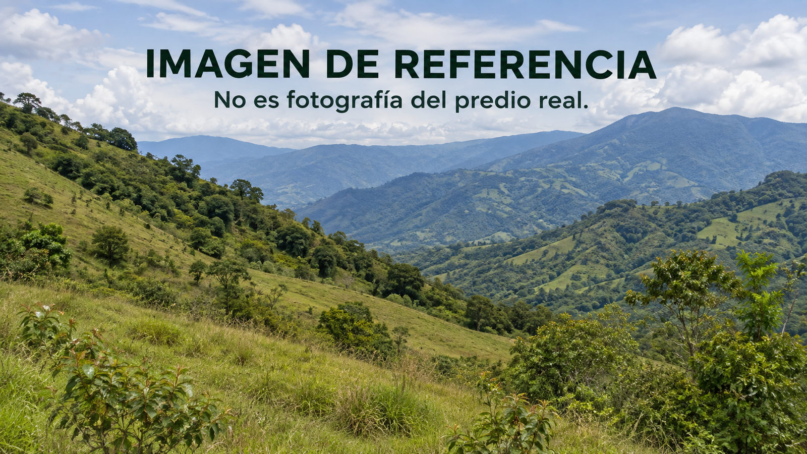 Imagen de referencia de paisaje rural, no fotografía real. Remate 81045 El Guayabo Fresno.