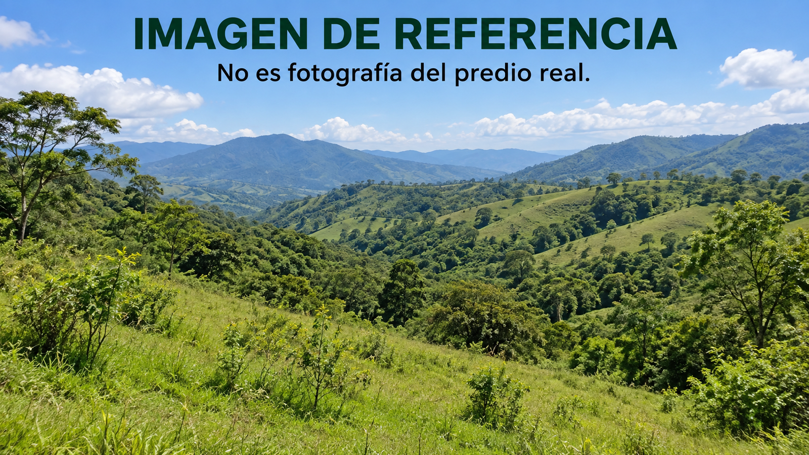 Imagen de referencia de predio rural, no fotografía real. Remate 81044 Guamalito Norte de Santander.