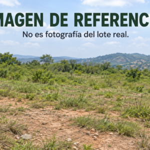 Imagen de referencia de lote, no fotografía real. Remate 81042 San Fernando Ocaña.