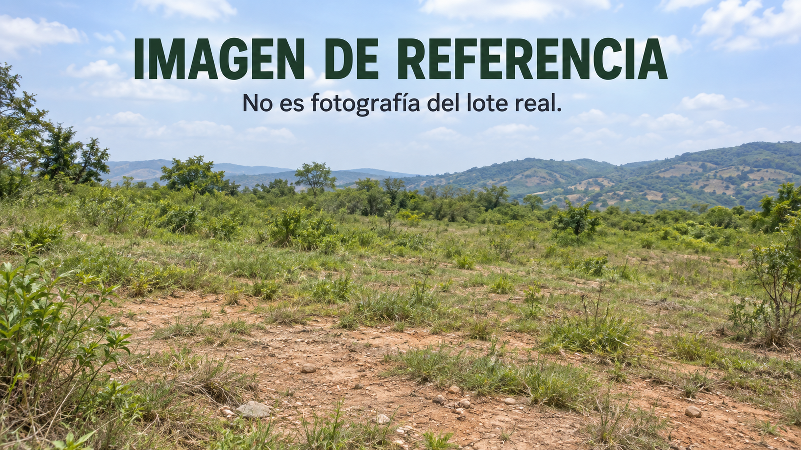 Imagen de referencia de lote, no fotografía real. Remate 81042 San Fernando Ocaña.