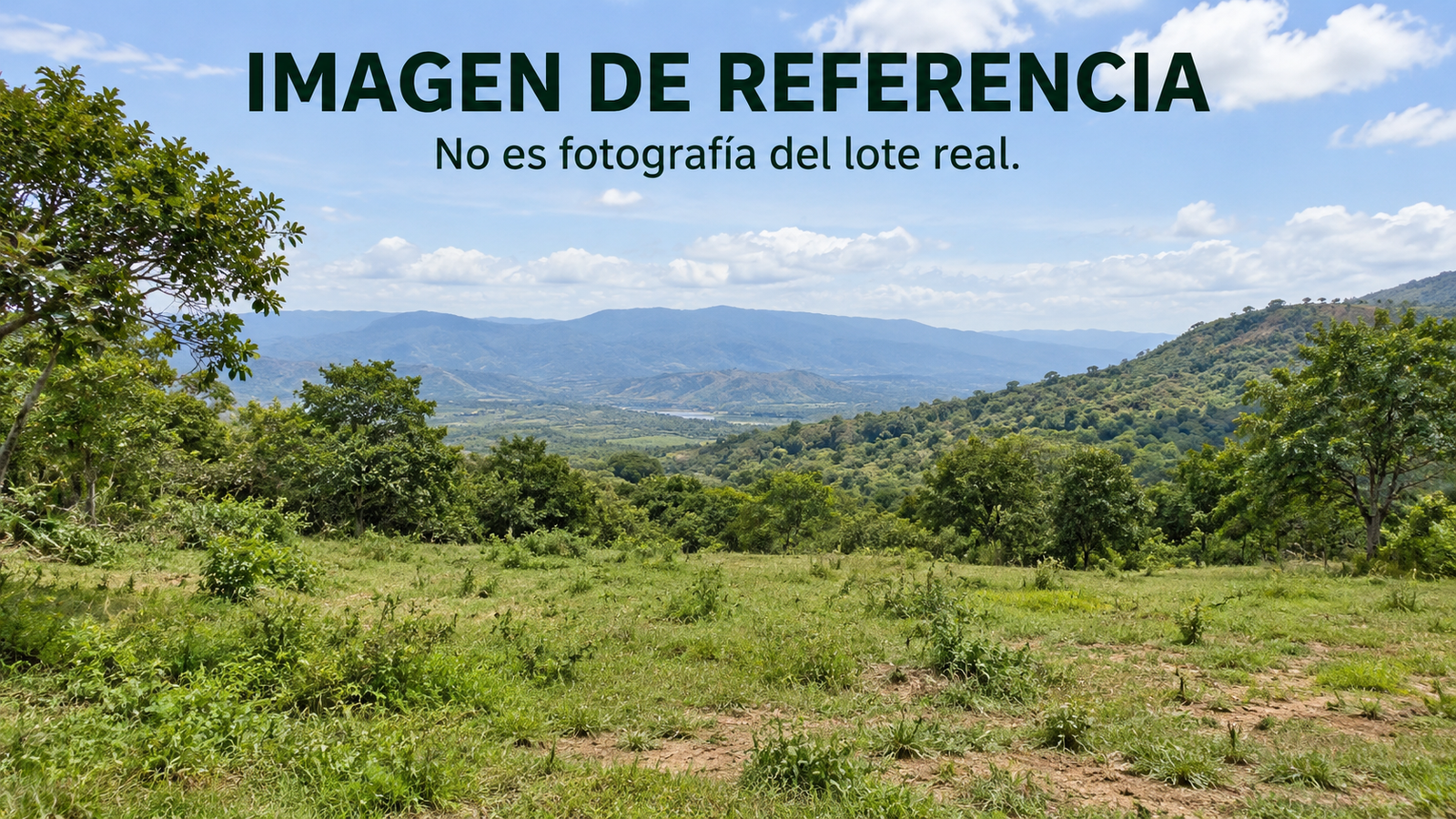 Imagen de referencia de lote campestre, no fotografía real. Remate 81039 Orquídea Apulo.