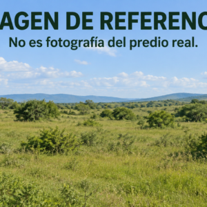 Imagen de referencia de predio rural, no fotografía real. Remate 81035 El Refugio Curumaní.