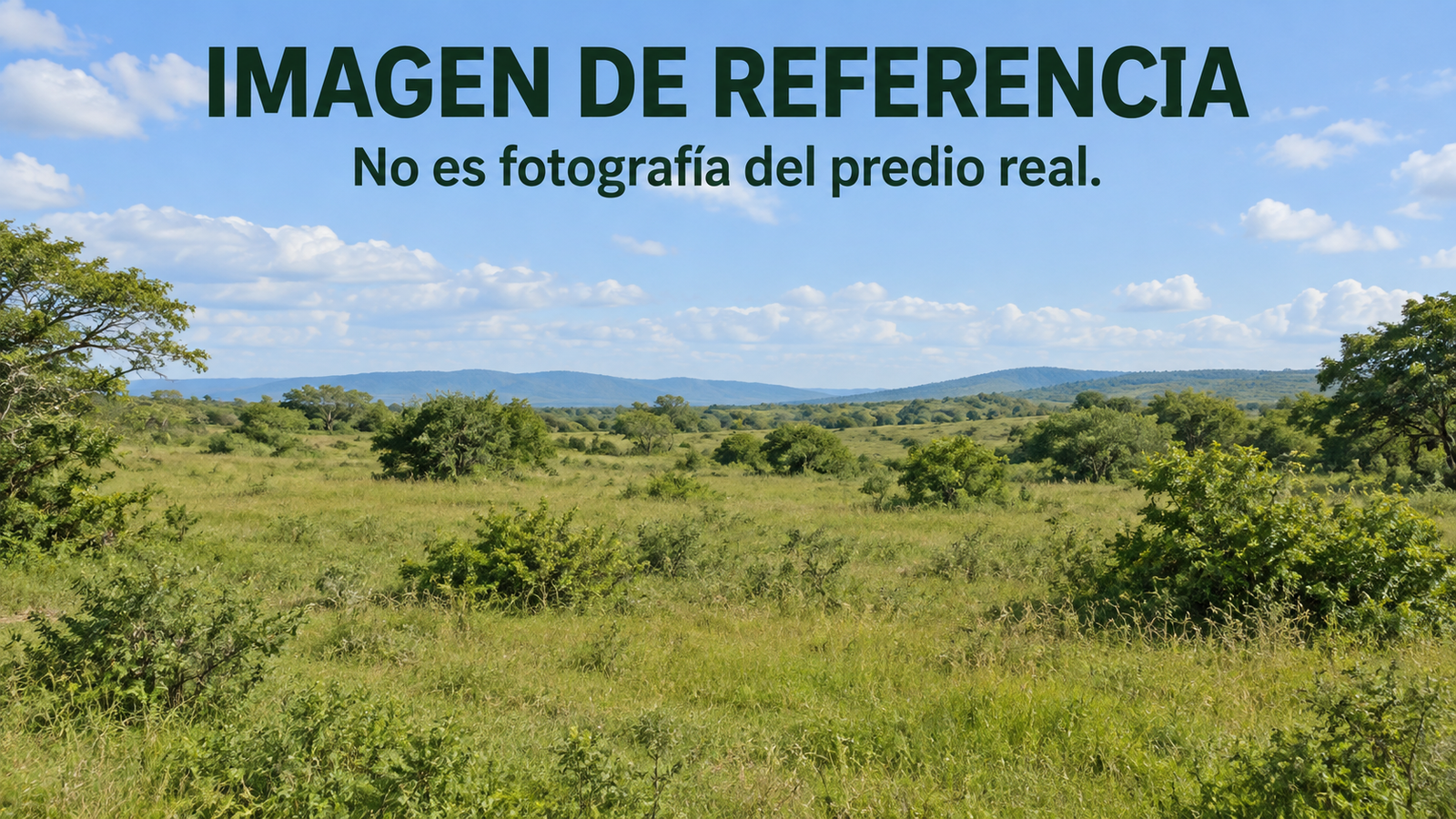 Imagen de referencia de predio rural, no fotografía real. Remate 81035 El Refugio Curumaní.
