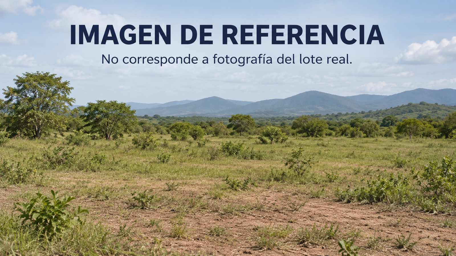 Imagen de referencia de terreno rural, no fotografía real. Remate 81051 Guamo Tolima.