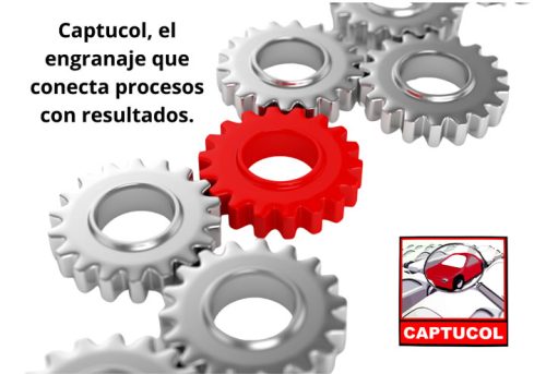 11. somos lo que necesitas